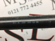 202586899437