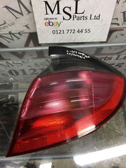202319593953
