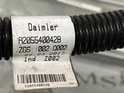 204189983482