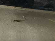 203453542531