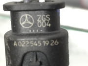 202491775538