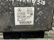 204661353253