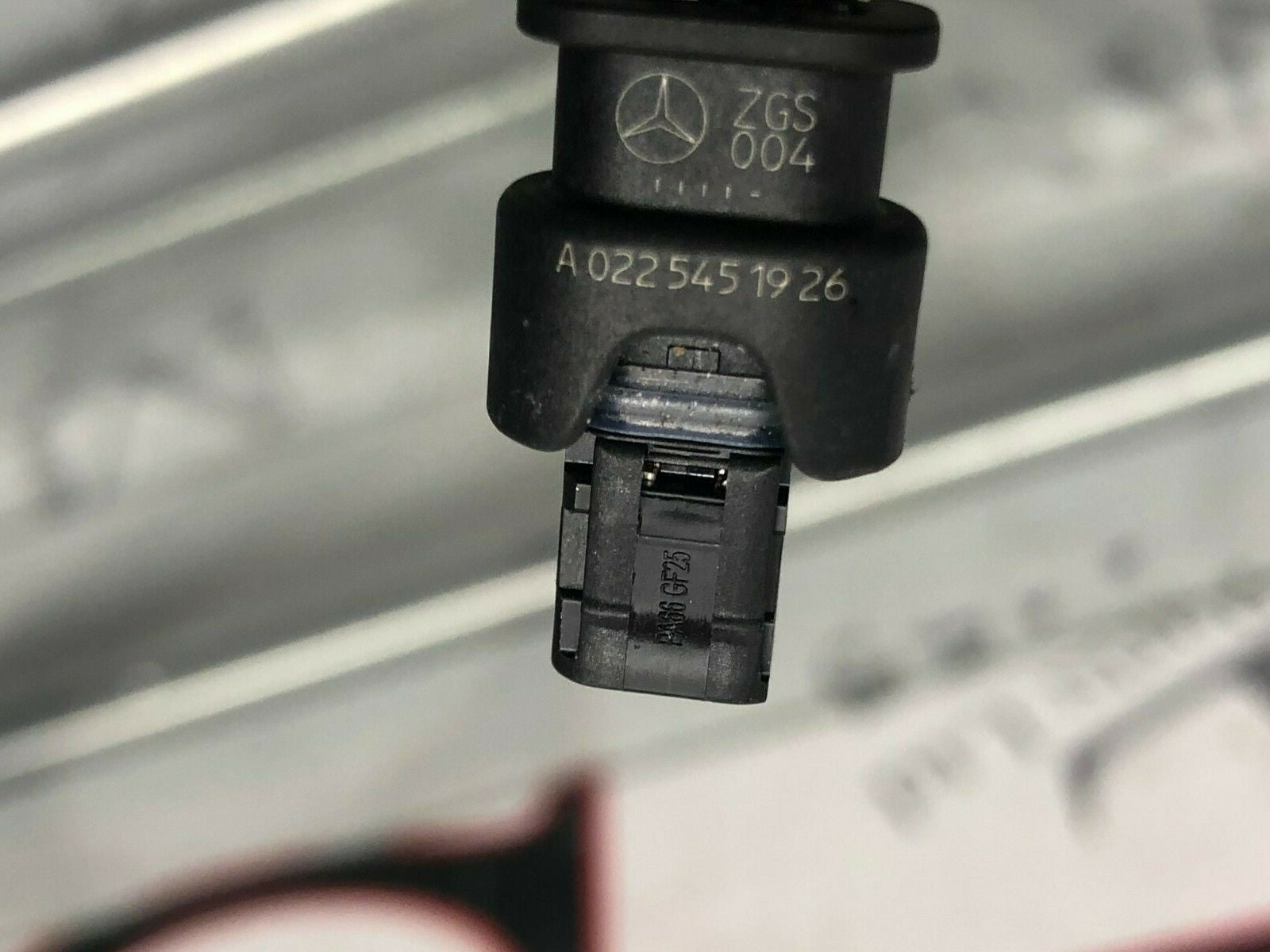 203051245981