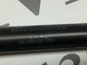 202750431131