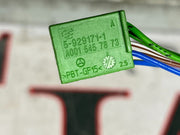 205070238620