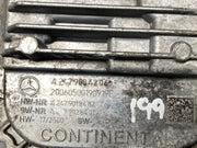 206176199622