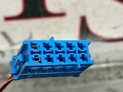 204555280081