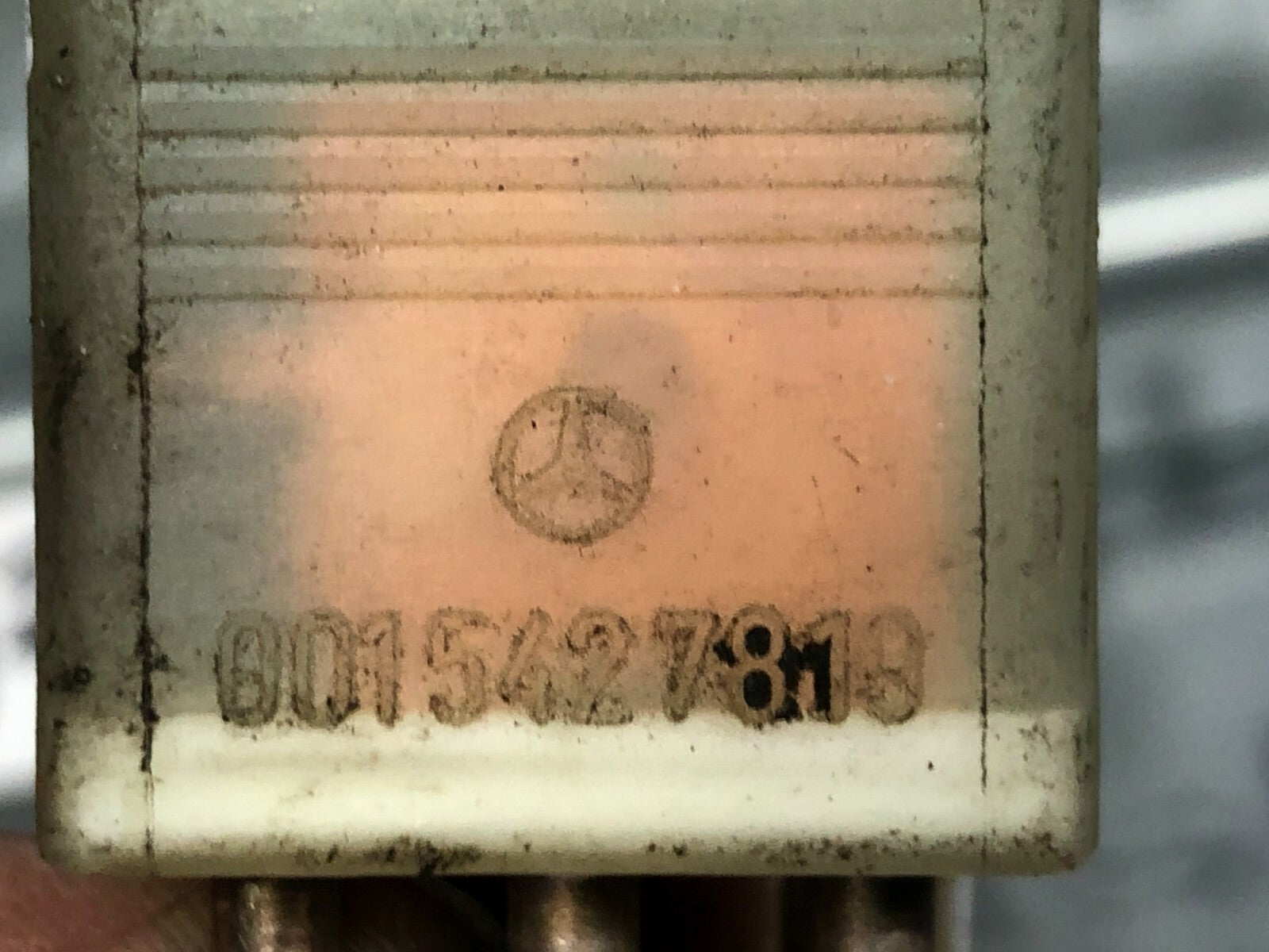 203136356669