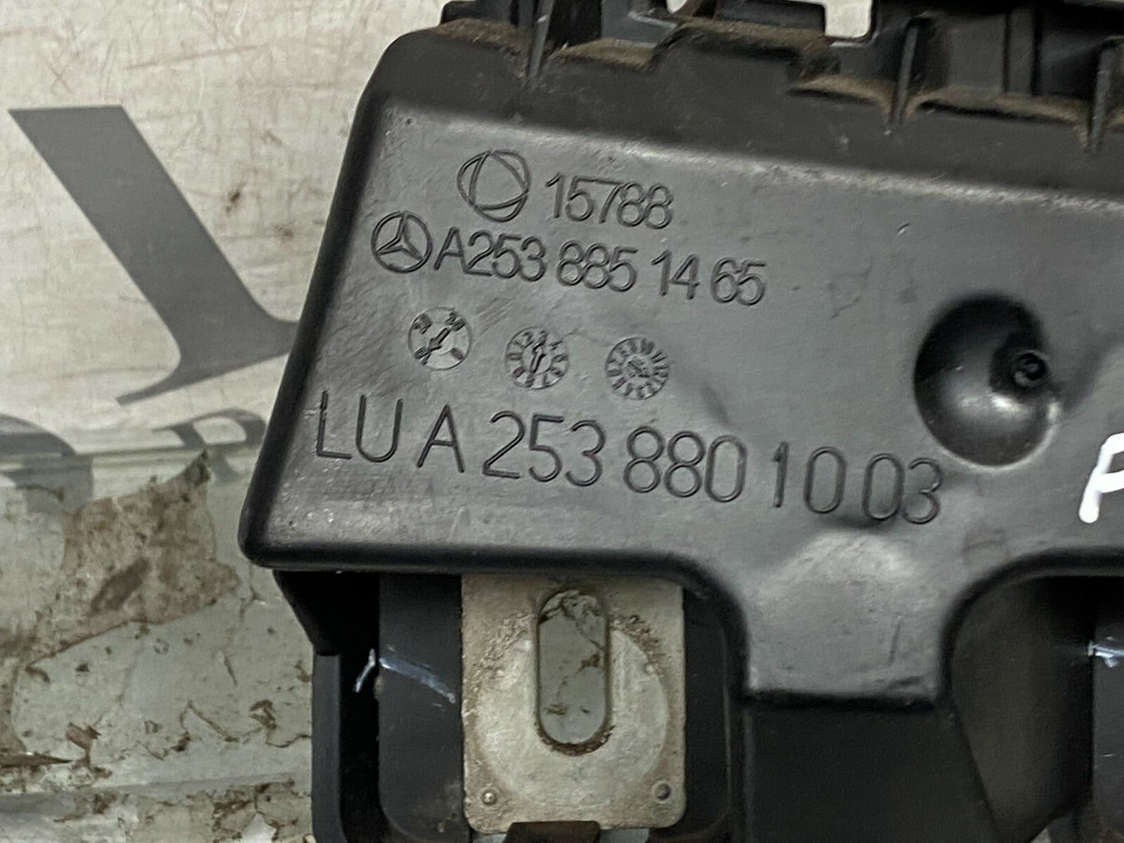203883669194