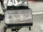 203264876150