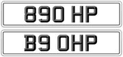 202190670867