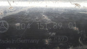 202519324100