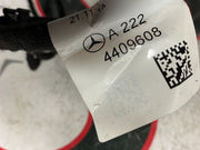 205450956762