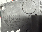 206532878787