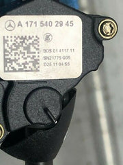 203119033493