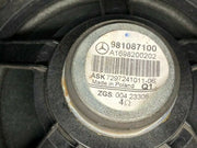 203172589818