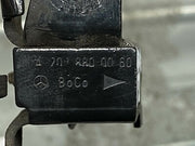 203773685558