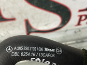 204598922023